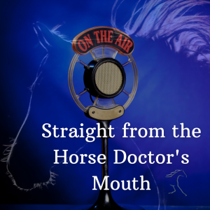 Podcast logo Straight from the Horse Doctor's Mouth Equine Emergency Vet Care Guide app