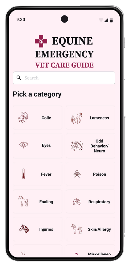 Equine Emergency Vet Care Guide